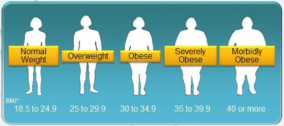 Ideal human weight calculator
